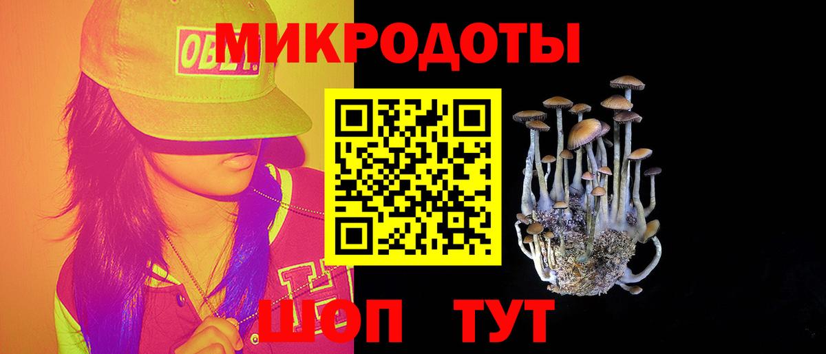 Дубна  Галлюциногенные грибы мухоморы  Вход с VPN  Псилоцибиновые грибы Psilocybine cubensis 