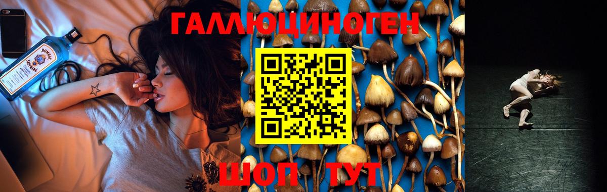 Псилоцибиновые грибы Magic Shrooms  Галлюциногенные грибы MAGIC MUSHROOMS  что такое наркотик  Дубна 